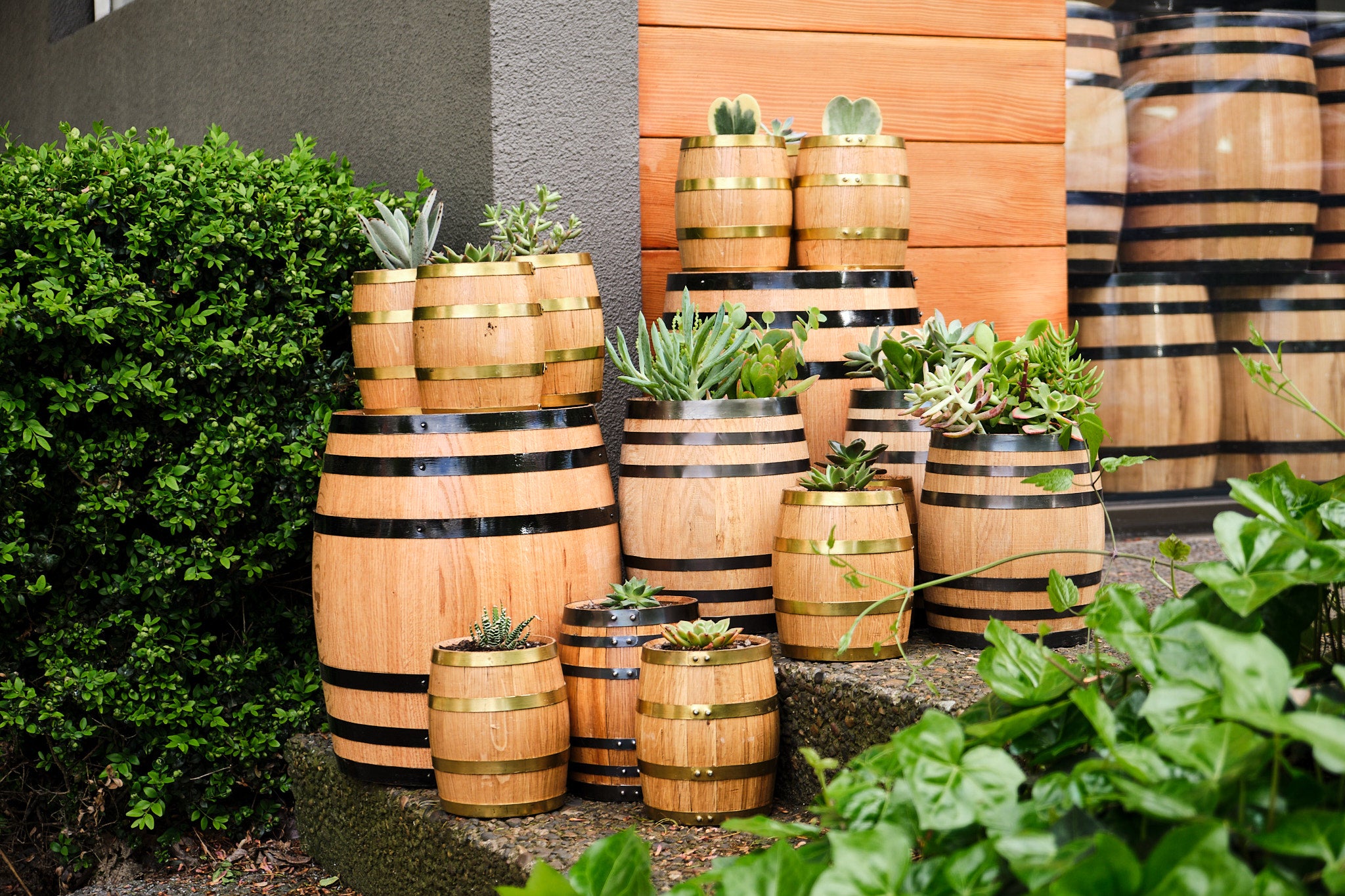 Baby Barrels
